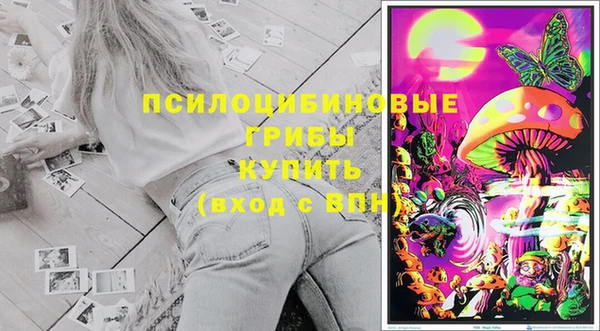 дживик Богданович