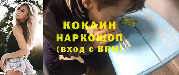 spice Богородицк