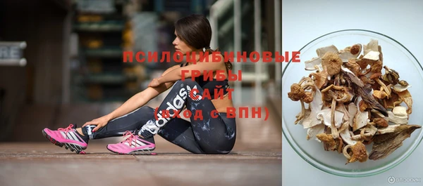 spice Богородицк