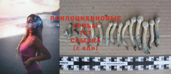 spice Богородицк