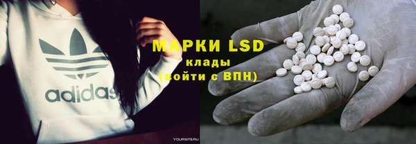 spice Богородицк