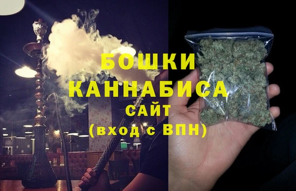 spice Богородицк