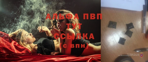 дживик Богданович