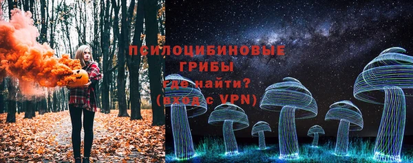spice Богородицк